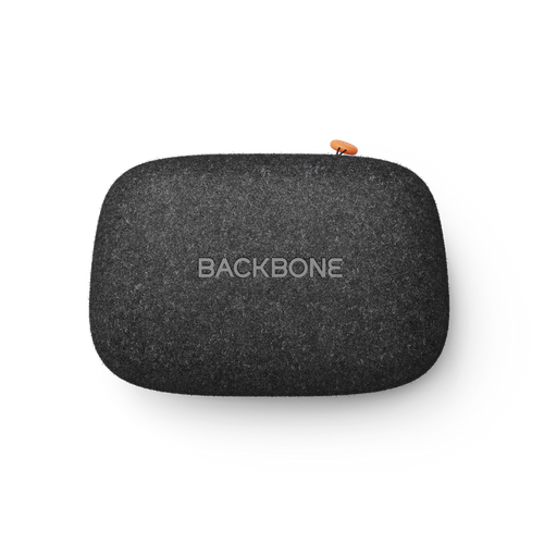 Backbone universal case