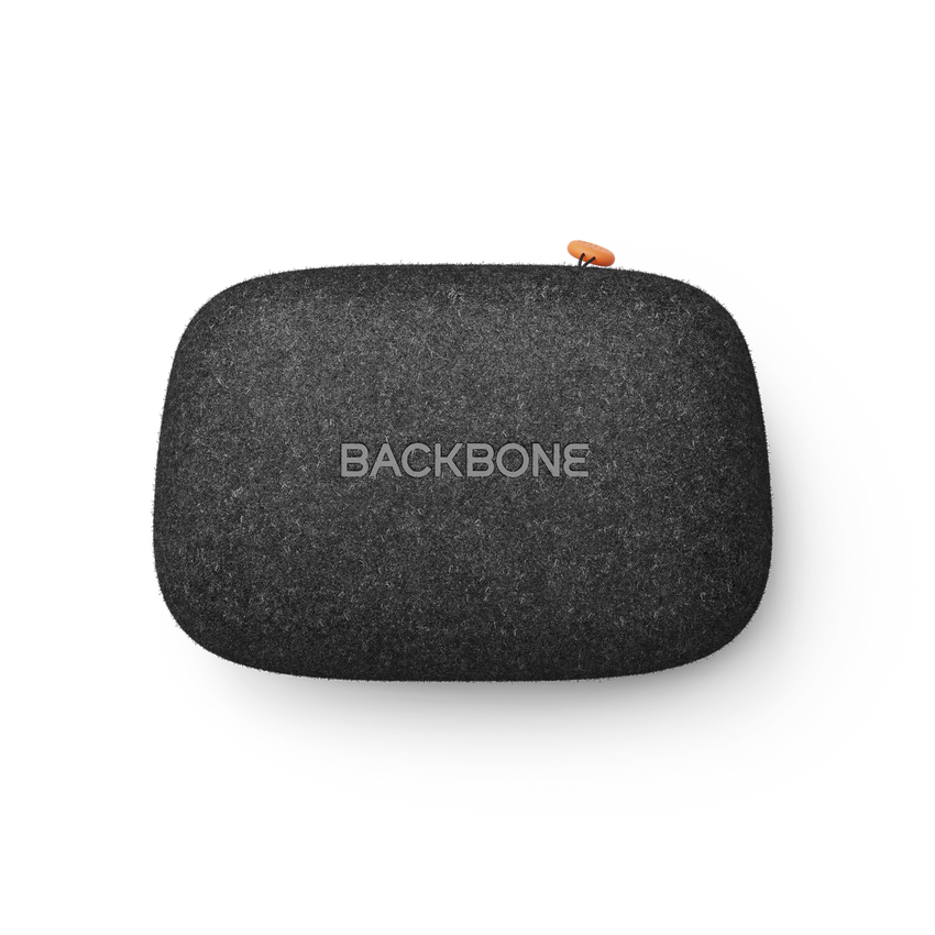 Backbone universal case