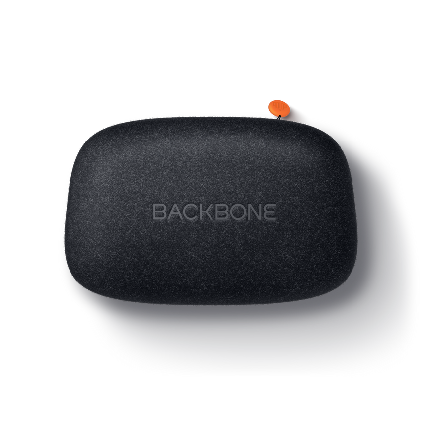 Backbone One Carrying Case